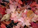 photo thumbnail #14