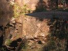 photo thumbnail #15