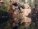 photo of comment