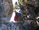 recent photo