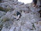 recent photo