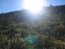 photo thumbnail #1