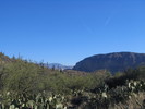 photo thumbnail #2