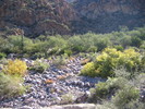 photo thumbnail #4