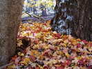 photo thumbnail #11