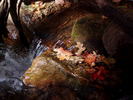 photo thumbnail #13