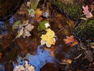 photo thumbnail #14