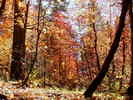 photo thumbnail #15