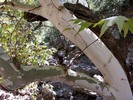 photo thumbnail #12