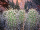 photo thumbnail #10