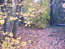 photo thumbnail #11