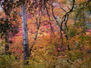 photo thumbnail #12