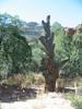 photo thumbnail #14