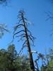 photo thumbnail #15