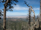 photo thumbnail #5