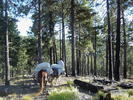 photo thumbnail #4
