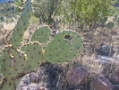 photo thumbnail #9