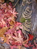 photo thumbnail #13