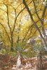 photo thumbnail #15
