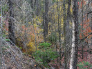 photo thumbnail #3