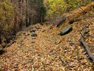 photo thumbnail #4