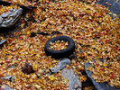 photo thumbnail #6