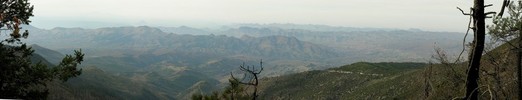 photo thumbnail #11