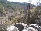 photo thumbnail #1