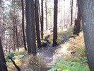 photo thumbnail #4
