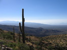 photo thumbnail #1