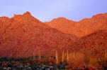 photo thumbnail #12