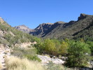 photo thumbnail #2