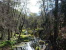 photo of comment