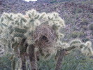 photo thumbnail #1
