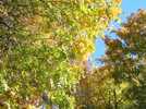 photo thumbnail #11