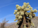 photo thumbnail #1