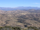 photo thumbnail #4
