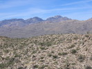 photo thumbnail #6