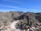 photo thumbnail #7
