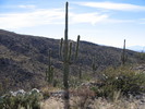 photo thumbnail #9