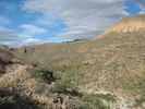 photo thumbnail #2