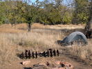 photo thumbnail #9