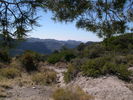 photo thumbnail #13