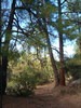 photo thumbnail #11