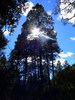 photo thumbnail #12