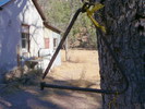 photo thumbnail #14