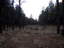 photo thumbnail #2