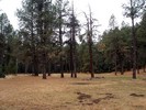 photo thumbnail #13