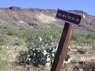 photo thumbnail #4