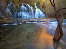 Featured Full Photo